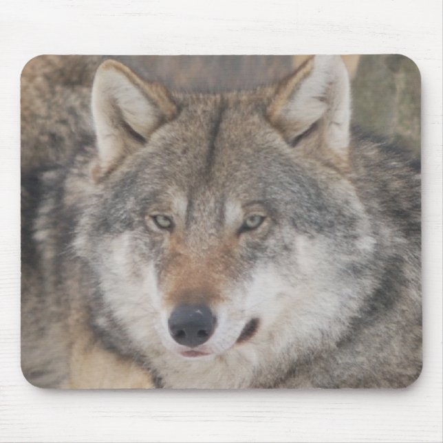 Alfombrilla De Ratón Lobos (Frente)