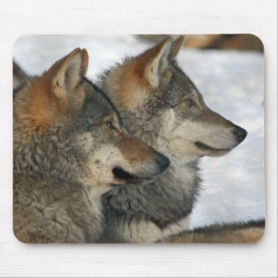 Alfombrilla De Ratón lobos
