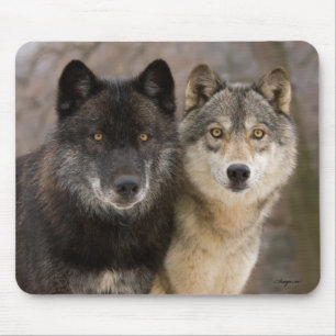 Alfombrilla De Ratón Lobos grises