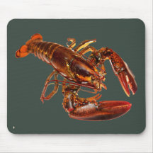 Lobster