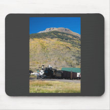 Locomotora restaurada 315 en Silverton