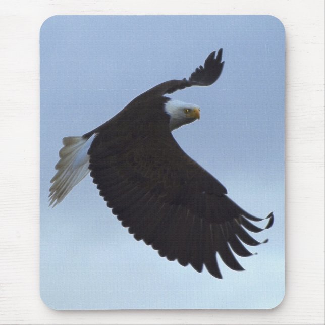 Alfombrilla De Ratón LOGRO Bald Eagle Mousepad (Frente)