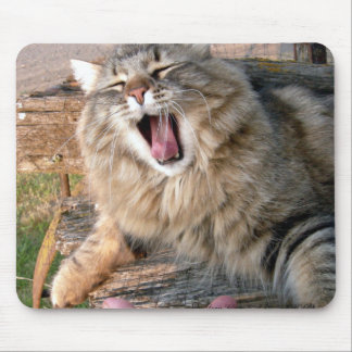 Alfombrilla De Ratón LOL Maine Coon