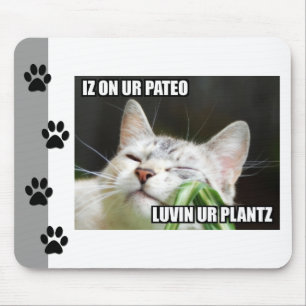 Alfombrilla De Ratón LOLCat Sassy Mousepad