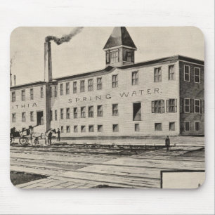 Alfombrilla De Ratón Londonderry Lithia Spring Water Co