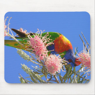 Alfombrilla De Ratón Lorikeet Arcoíris Colorido Comiendo Néctar