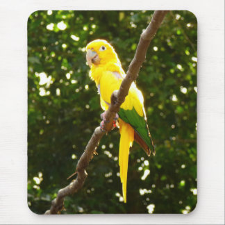 Alfombrilla De Ratón Loro amarillo