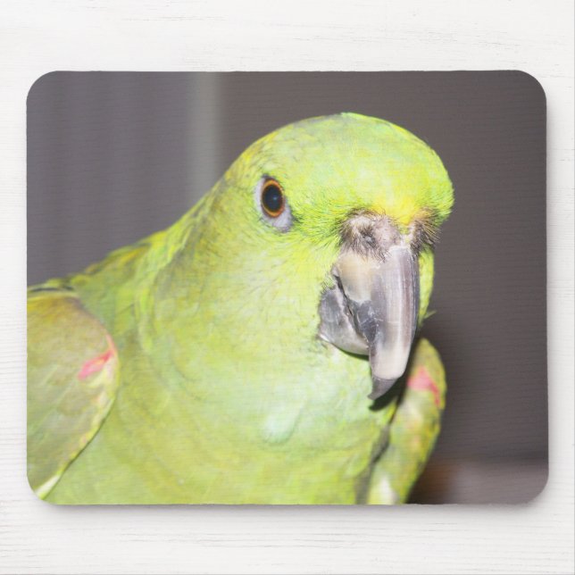 Alfombrilla De Ratón Loro Amarillo-Naped Mousepad del Amazonas (Frente)