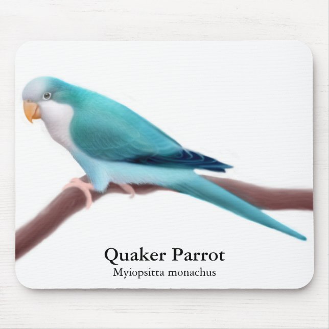 Alfombrilla De Ratón Loro azul Mousepad del Quaker (Frente)