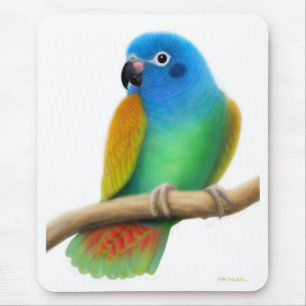 Alfombrilla De Ratón Loro dirigido azul Mousepad de Pionus