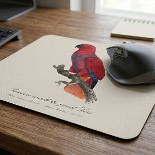 Alfombrilla De Ratón Loro Eclecto de Vosmaer, Eclectus Roratus Vosmaeri