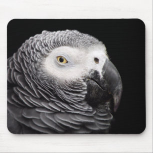 Alfombrilla De Ratón Loro gris africano