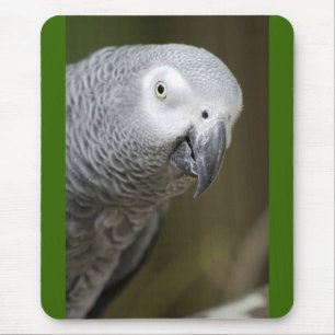 Alfombrilla De Ratón loro lindo