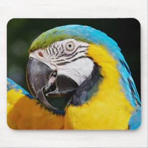 Alfombrilla De Ratón Loro, macao azul y amarillo, naturaleza