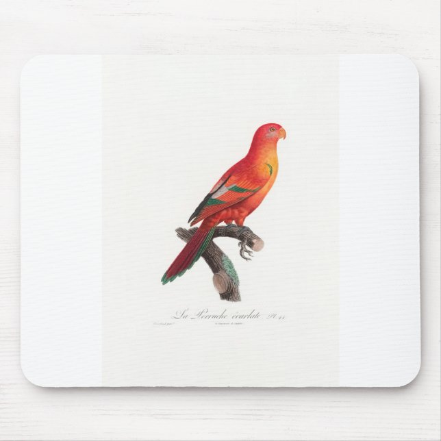 Alfombrilla De Ratón loro maculado (Frente)