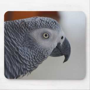 Alfombrilla De Ratón Loro majestuoso del gris africano