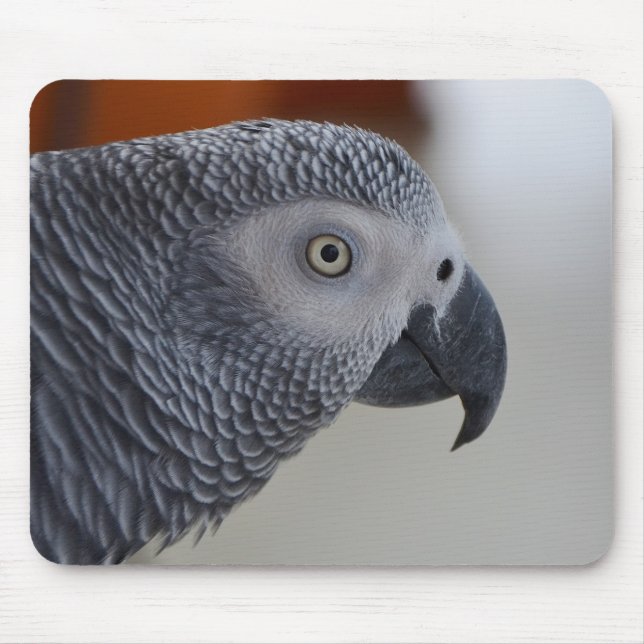 Alfombrilla De Ratón Loro majestuoso del gris africano (Frente)