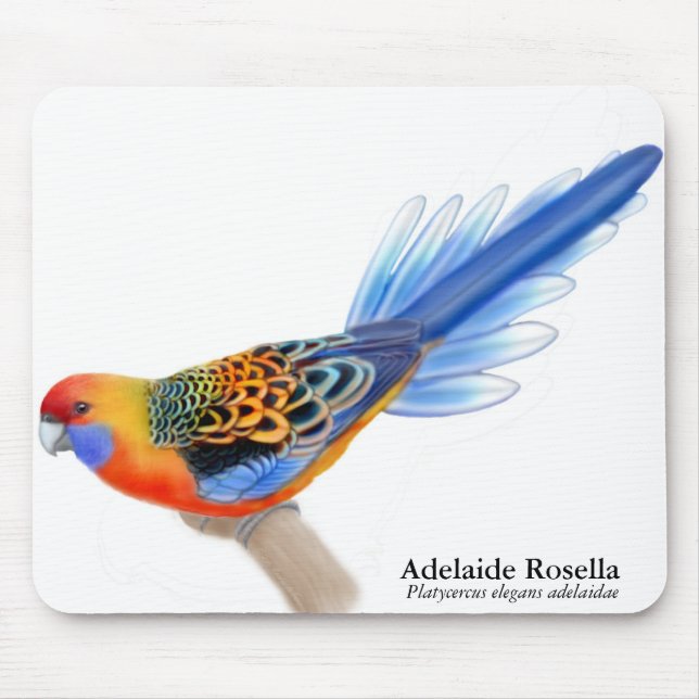 Alfombrilla De Ratón Loro Mousepad de Adelaide Rosella (Frente)