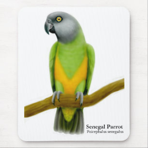 Alfombrilla De Ratón Loro Mousepad de Senegal