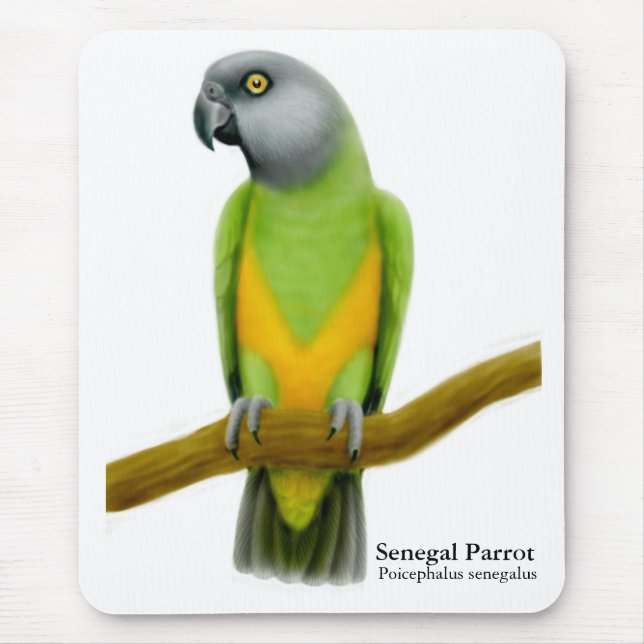 Alfombrilla De Ratón Loro Mousepad de Senegal (Frente)