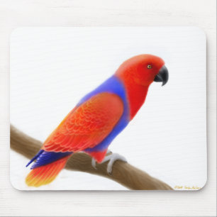 Alfombrilla De Ratón Loro rojo femenino Mousepad de Eclectus