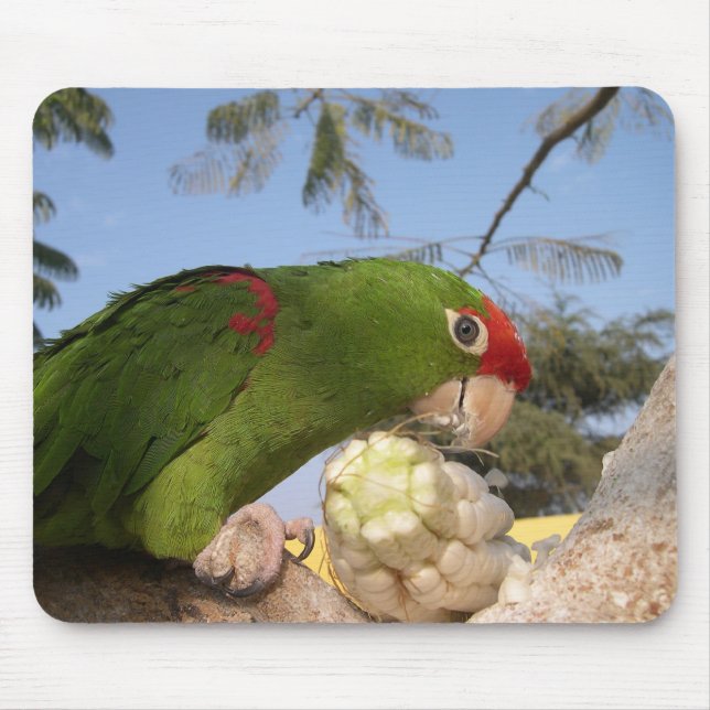 Alfombrilla De Ratón loro verde (Frente)