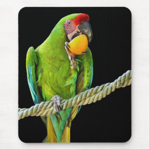 Alfombrilla De Ratón Loro Verde Ara Militaris
