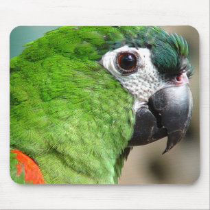 Alfombrilla De Ratón Loro verde Mousepad
