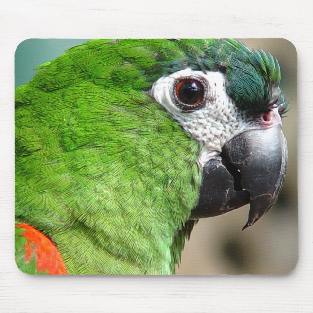 Alfombrilla De Ratón Loro verde Mousepad (Frente)