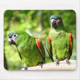 Alfombrilla De Ratón Loro verde Mousepad 2