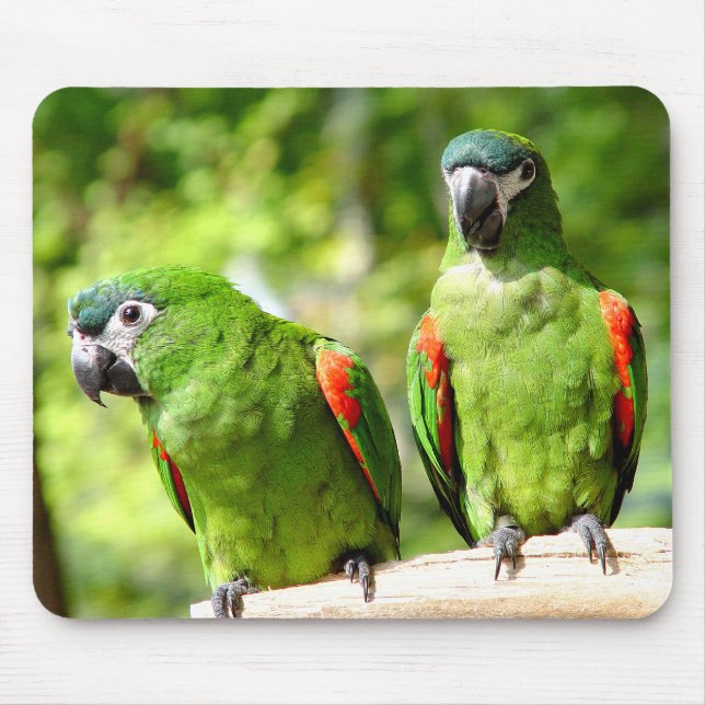 Alfombrilla De Ratón Loro verde Mousepad 2 (Frente)