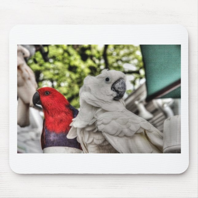 Alfombrilla De Ratón Loro y Cockatoo (Frente)