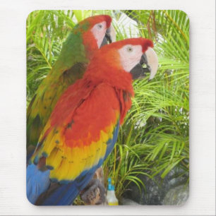 Alfombrilla De Ratón Loros