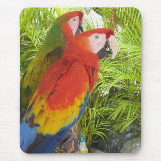 Alfombrilla De Ratón Loros (Frente)