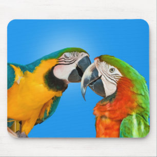 Alfombrilla De Ratón Loros en el amor Mousepad