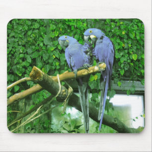 Alfombrilla De Ratón Loros gemelos azules