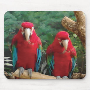 Alfombrilla De Ratón loros rojos
