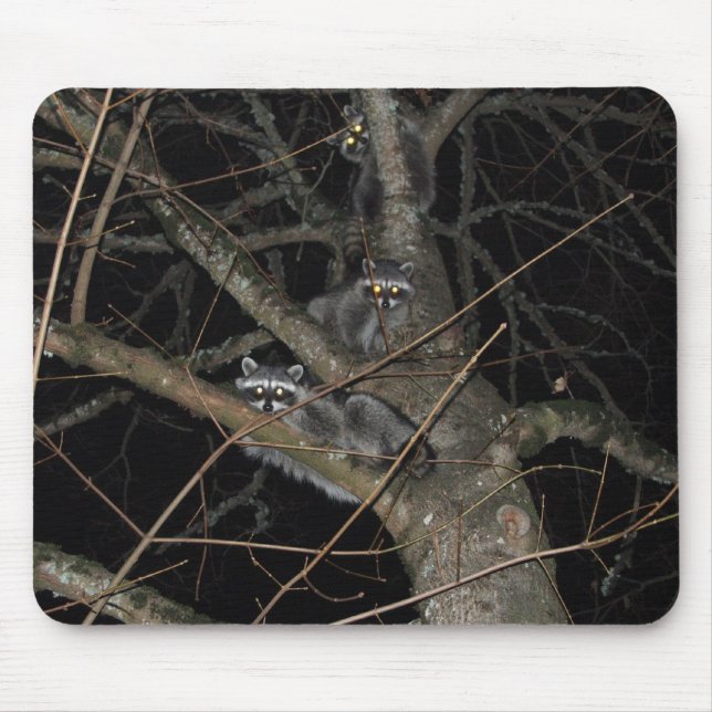 Alfombrilla De Ratón Los 3 bandidos (Frente)