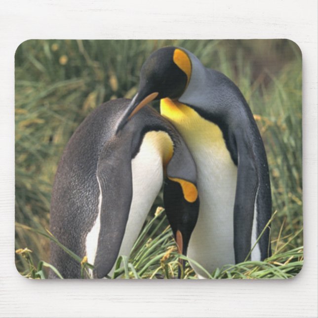 Alfombrilla De Ratón Los amantes de los pingüinos del rey (Frente)