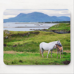 Alfombrilla De Ratón Los caballos de Connemara el Galway, Irlanda
