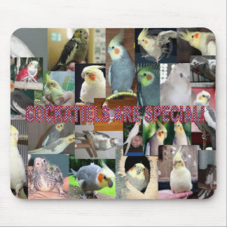 Alfombrilla De Ratón Los Cockatiels son especiales