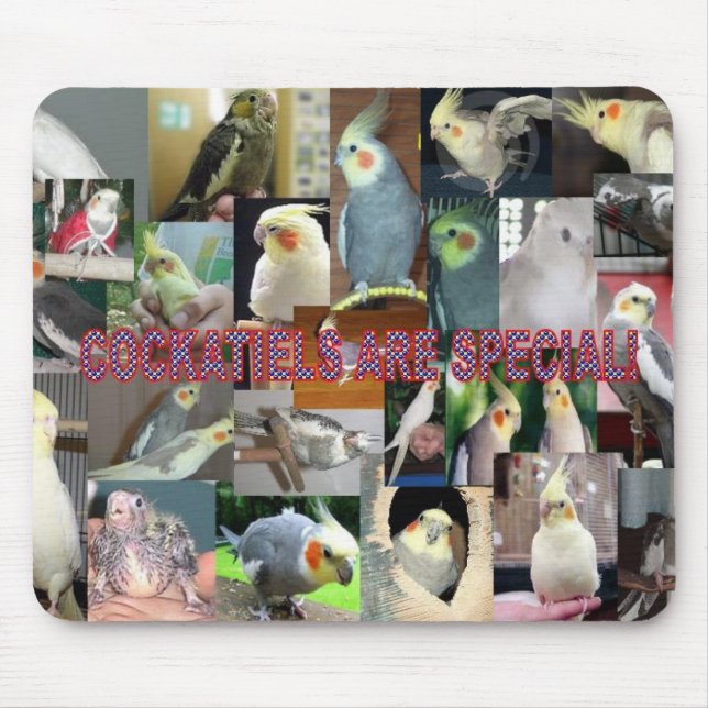 Alfombrilla De Ratón Los Cockatiels son especiales (Frente)