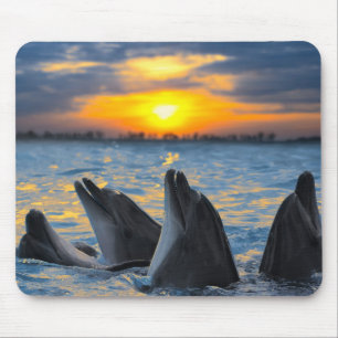 Alfombrilla De Ratón Los delfínes botella-sospechados en luz de la