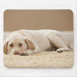 Alfombrilla De Ratón Los E.E.U.U., Utah, Lehi, retrato de Labrador