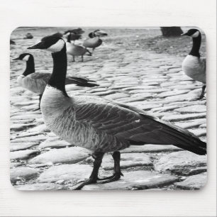 Alfombrilla De Ratón Los gansos canadienses acercan al lago Mousepad