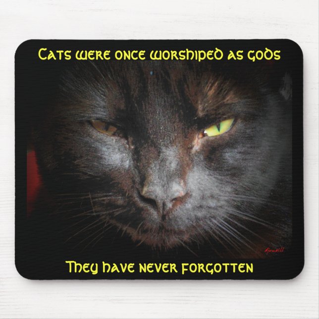 Alfombrilla De Ratón Los gatos eran adorados, no olvidan (Frente)