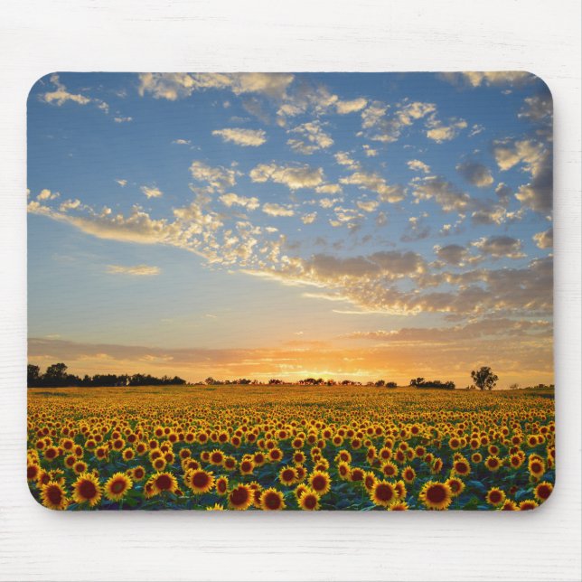 Alfombrilla De Ratón Los girasoles al atardecer (Frente)