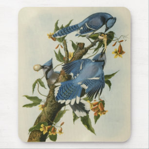 Alfombrilla De Ratón Los grifos azules de Audubon