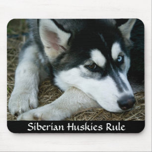 Alfombrilla De Ratón Los Huskies Siberianos dominan Mousepad