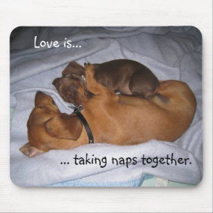 Alfombrilla De Ratón los loveis, amor son…,… tomando naps juntos
